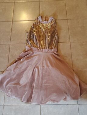 Woman's Gold Sequin & Blush Party Dress